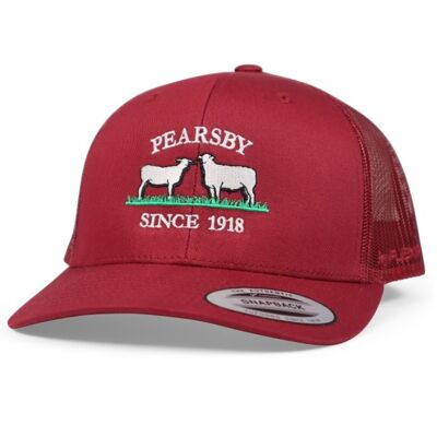 Classic Retro Wade Trucker Hat Thumbnail